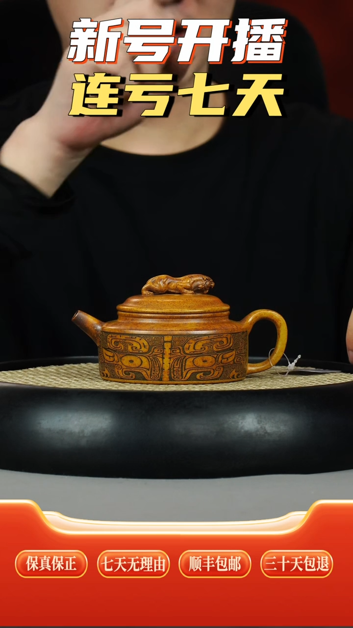 茶壶紫砂龙骨金砂柴烧卧虎藏龙刻绘周盘