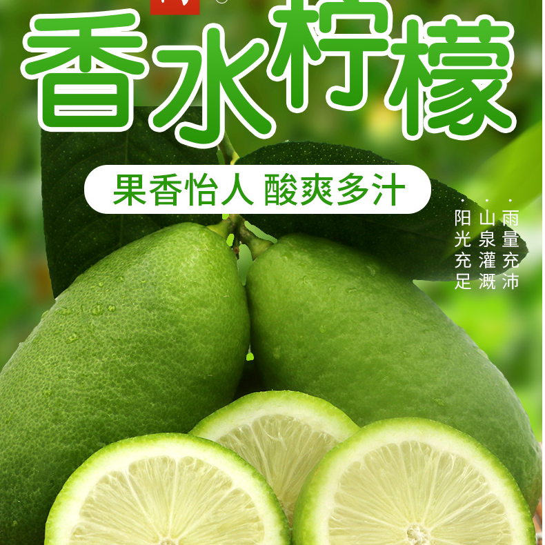 海南香水青柠檬5斤新鲜当季水果一级鲜柠檬皮薄多汁整箱批发包邮