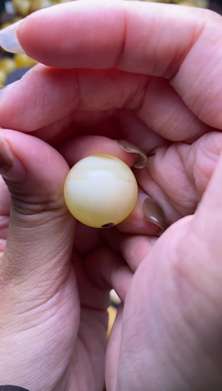 【闪购商品】琥珀裸石未镶嵌大小姐珠宝严选105