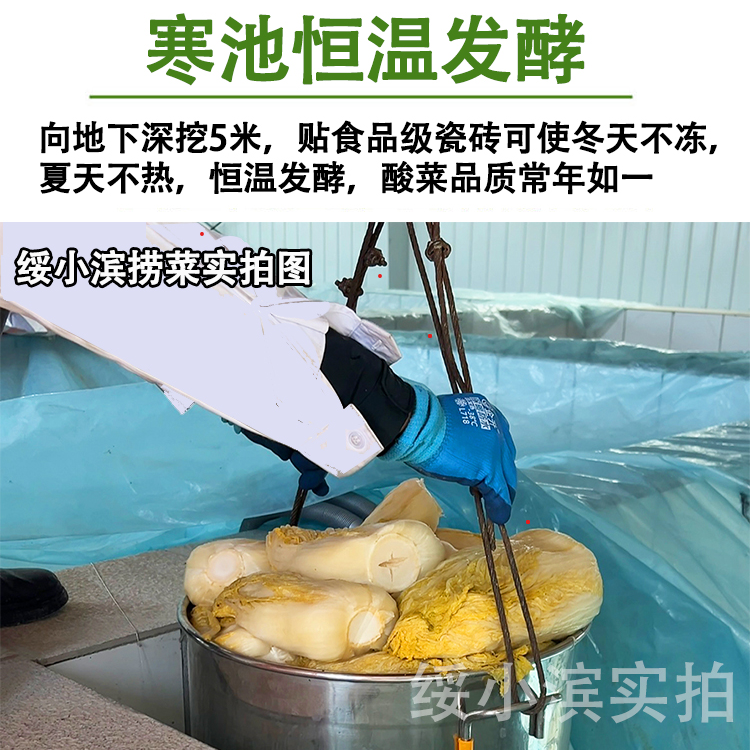 东北好吃大酸菜新鲜农家