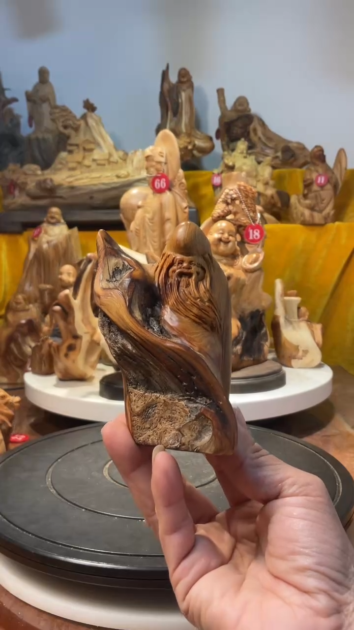 【闪购商品】柏木（崖柏）  寿星