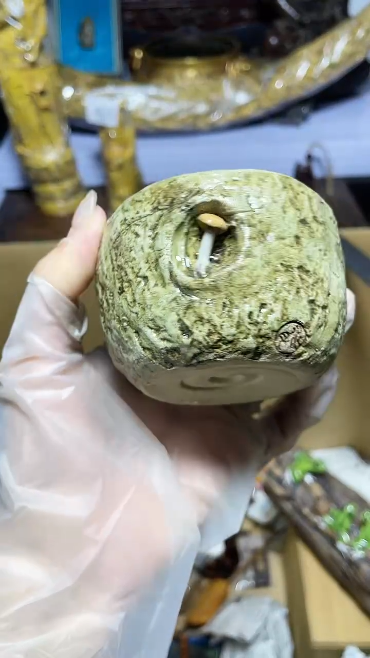 【闪购商品】瓷器碎片瓷器碎片