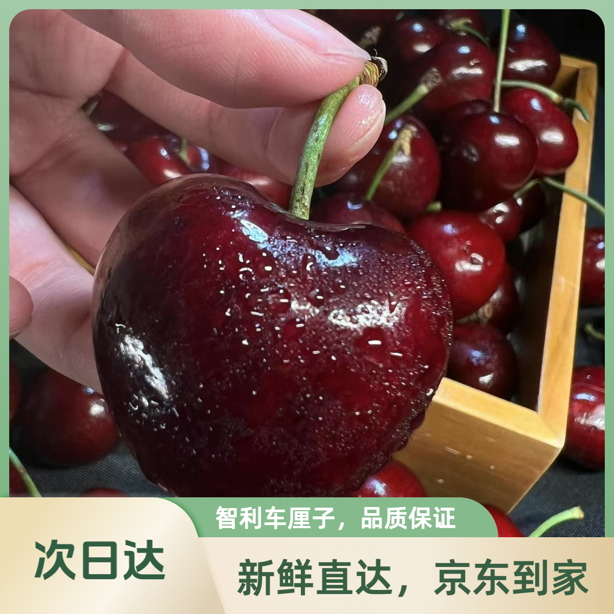 【次日达】Z精选智利车厘子JJJ原装5斤 脆甜多汁 年货