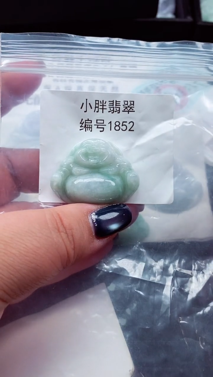 颈饰未镶嵌翡翠缅甸天然A货翡翠1852