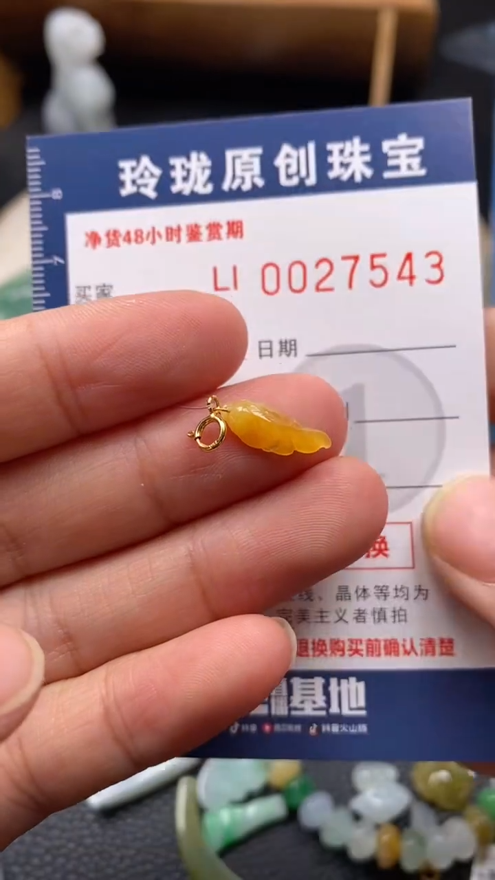 【闪购商品】翡翠颈饰未镶嵌翡翠净货27543