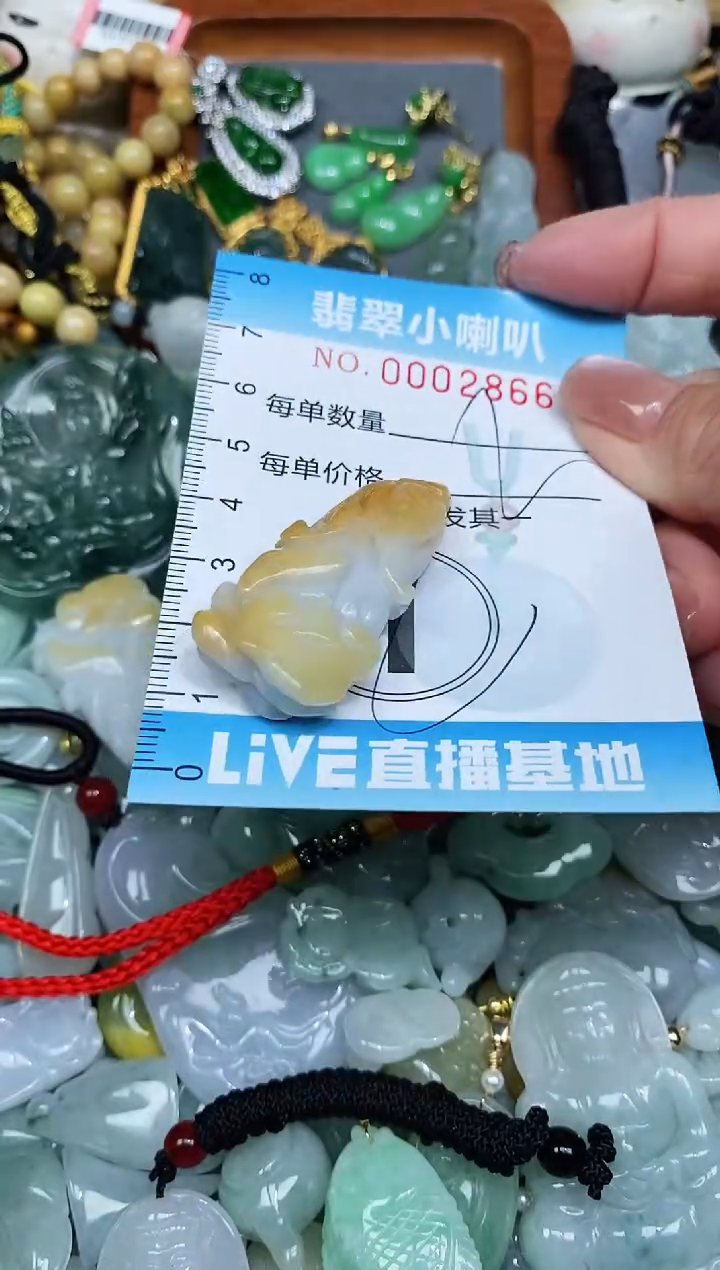 【闪购商品】翡翠颈饰未镶嵌闪购0002866