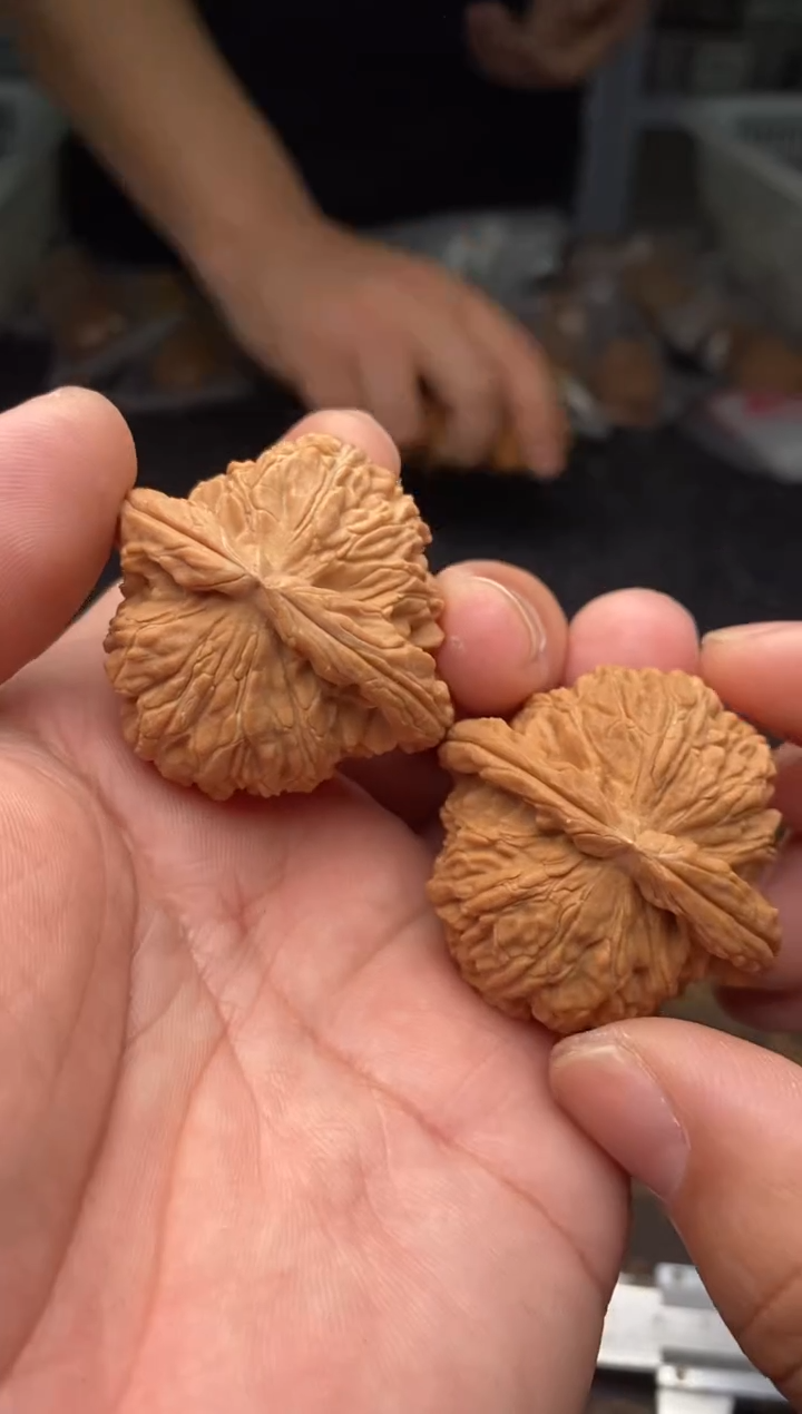把件文玩核桃b156号42尺白狮子