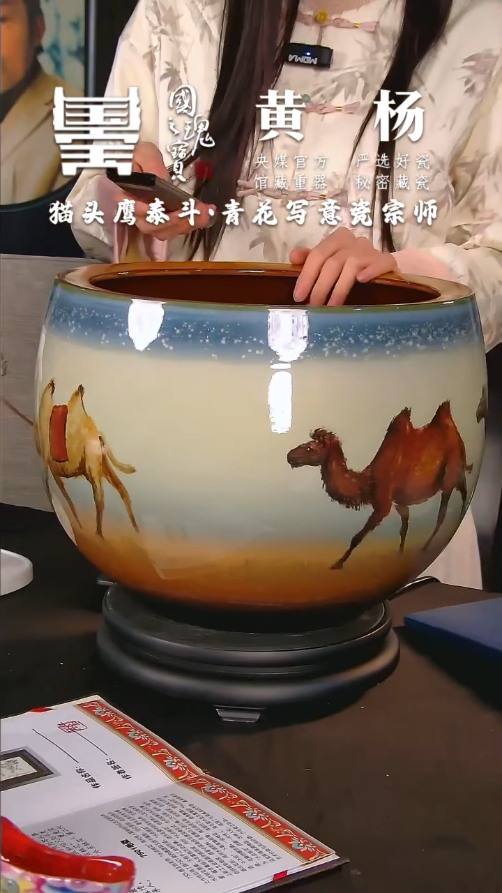 【闪购商品】瓷片黄杨        流水95