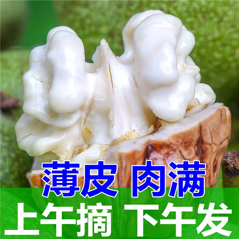 （去青皮送夹子）2025年大凉山新鲜湿核桃去青皮纸整箱