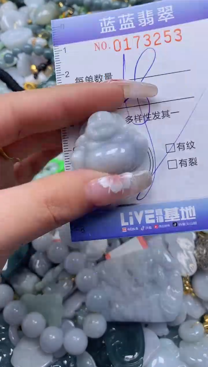 【闪购商品】翡翠颈饰未镶嵌闪购0173253