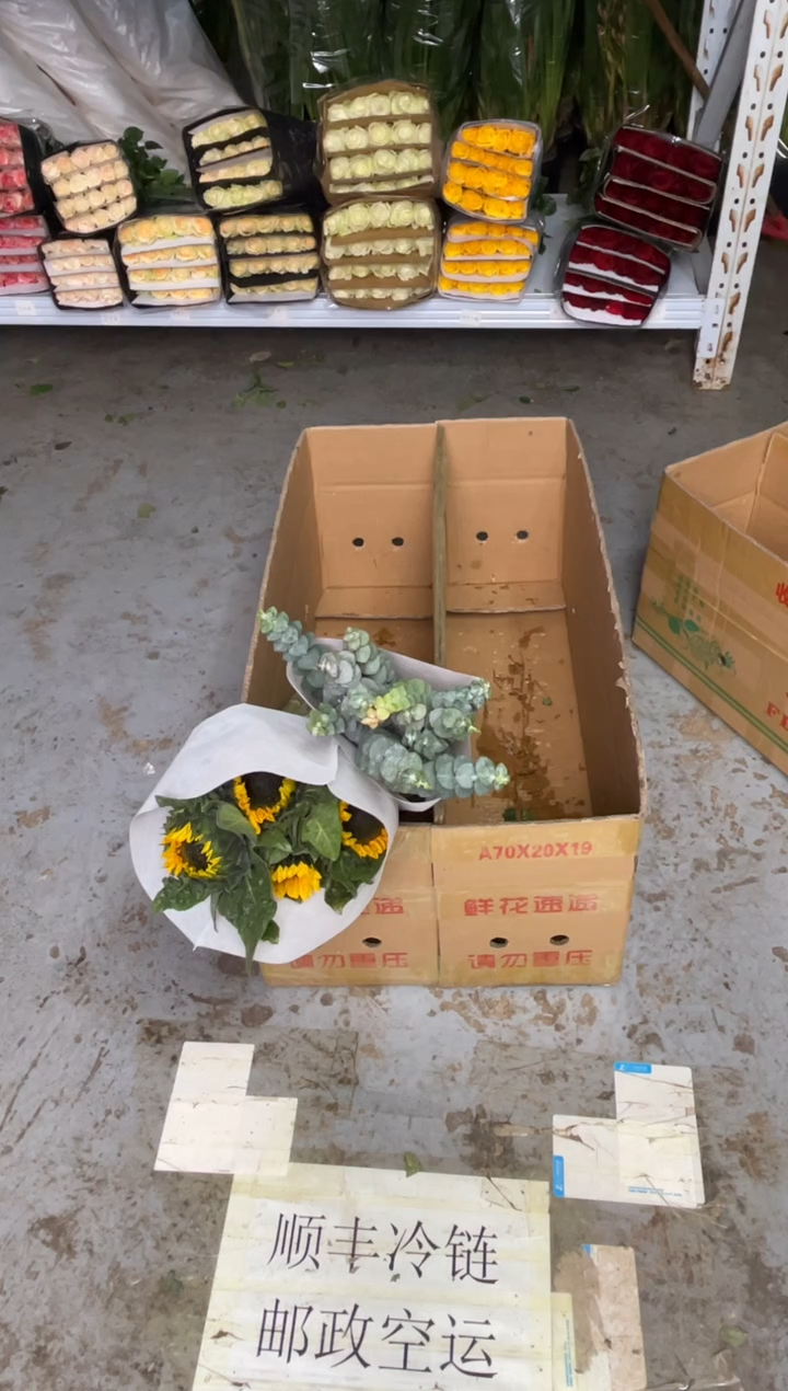 发*～向日葵5枝+尤加利