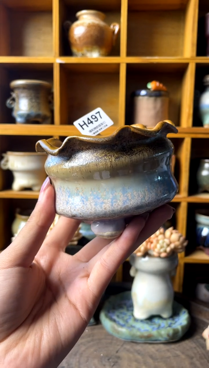 497内口8【多肉花盆多肉盆】