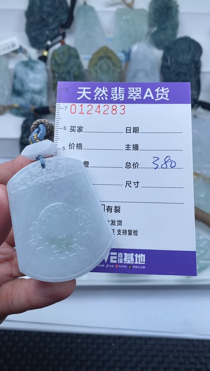 【闪购商品】翡翠颈饰未镶嵌         283