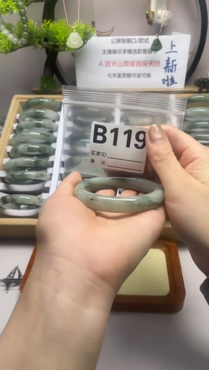 【闪购商品】石英质玉（天山翠）手镯未镶嵌b119