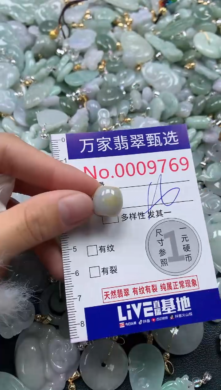 吊坠(不含链)未镶嵌翡翠9769