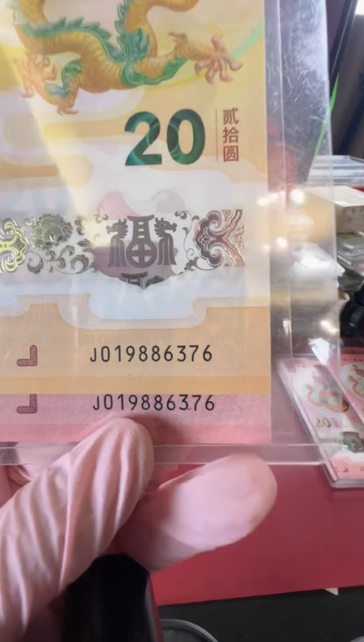 【闪购商品】塑料2025蛇钞全同号啊啊啊啊啊