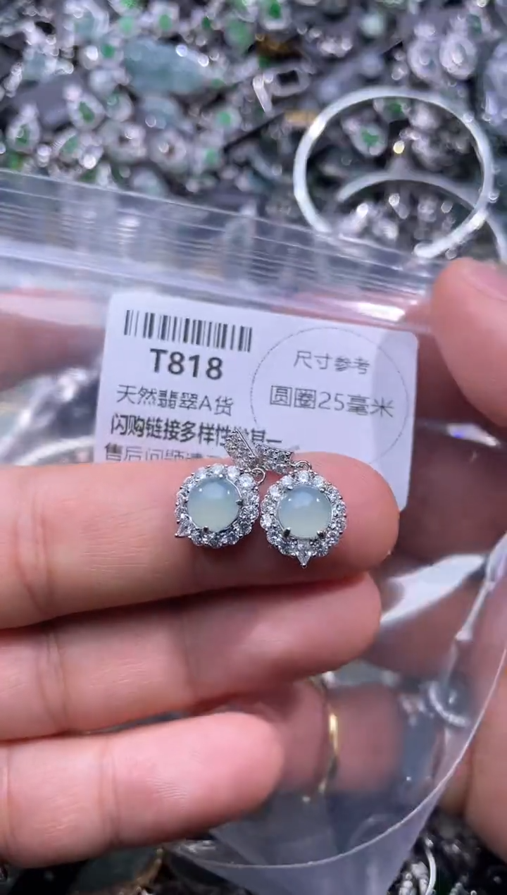 【闪购商品】翡翠颈饰未镶嵌T818耳钉
