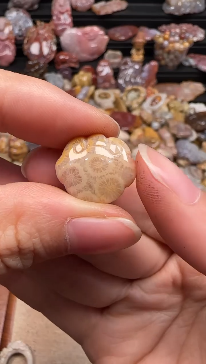 【闪购商品】硅化珊瑚（珊瑚玉）颈饰未镶嵌031