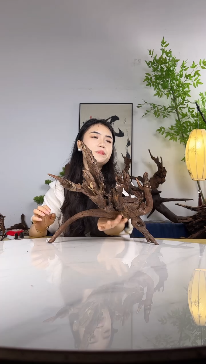 蛇****8拍沉木定向链接编号6