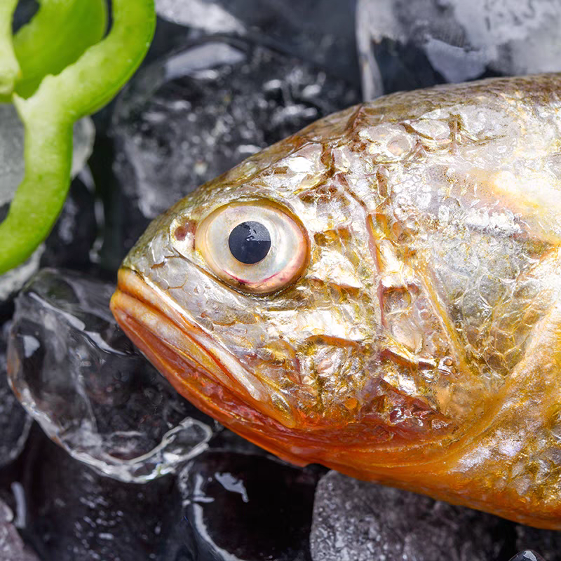 新鲜海捕生鲜黄花鱼小黄鱼【不含冰净重500g*4包 40-48条】