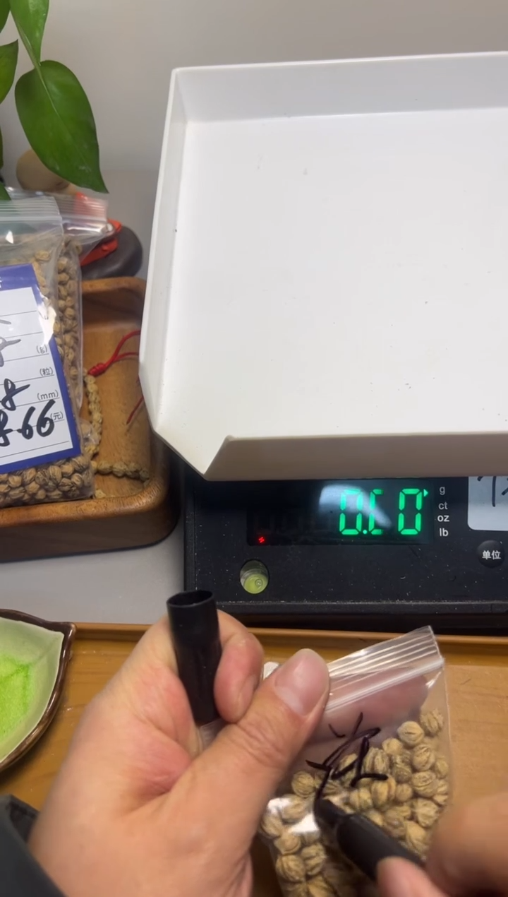 【闪购商品】柏香籽/百香籽吊坠33.331