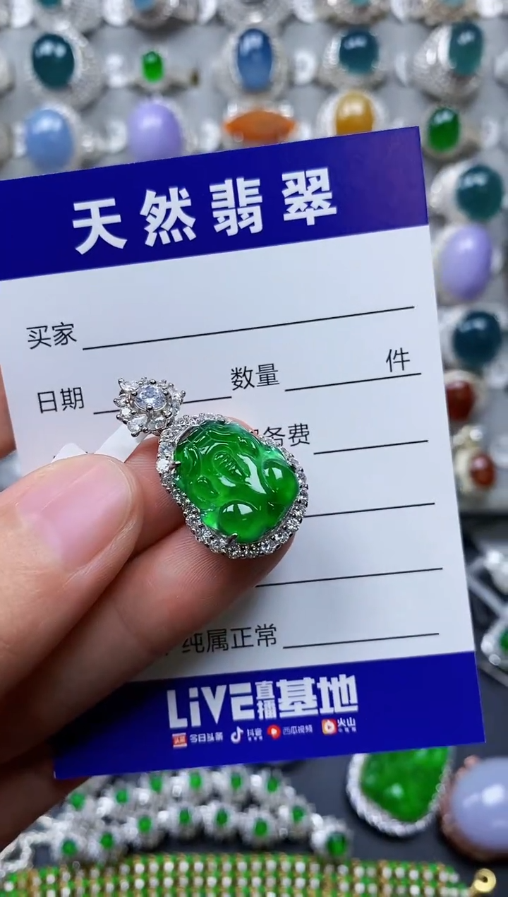 【闪购商品】翡翠颈饰银S925镶嵌0464