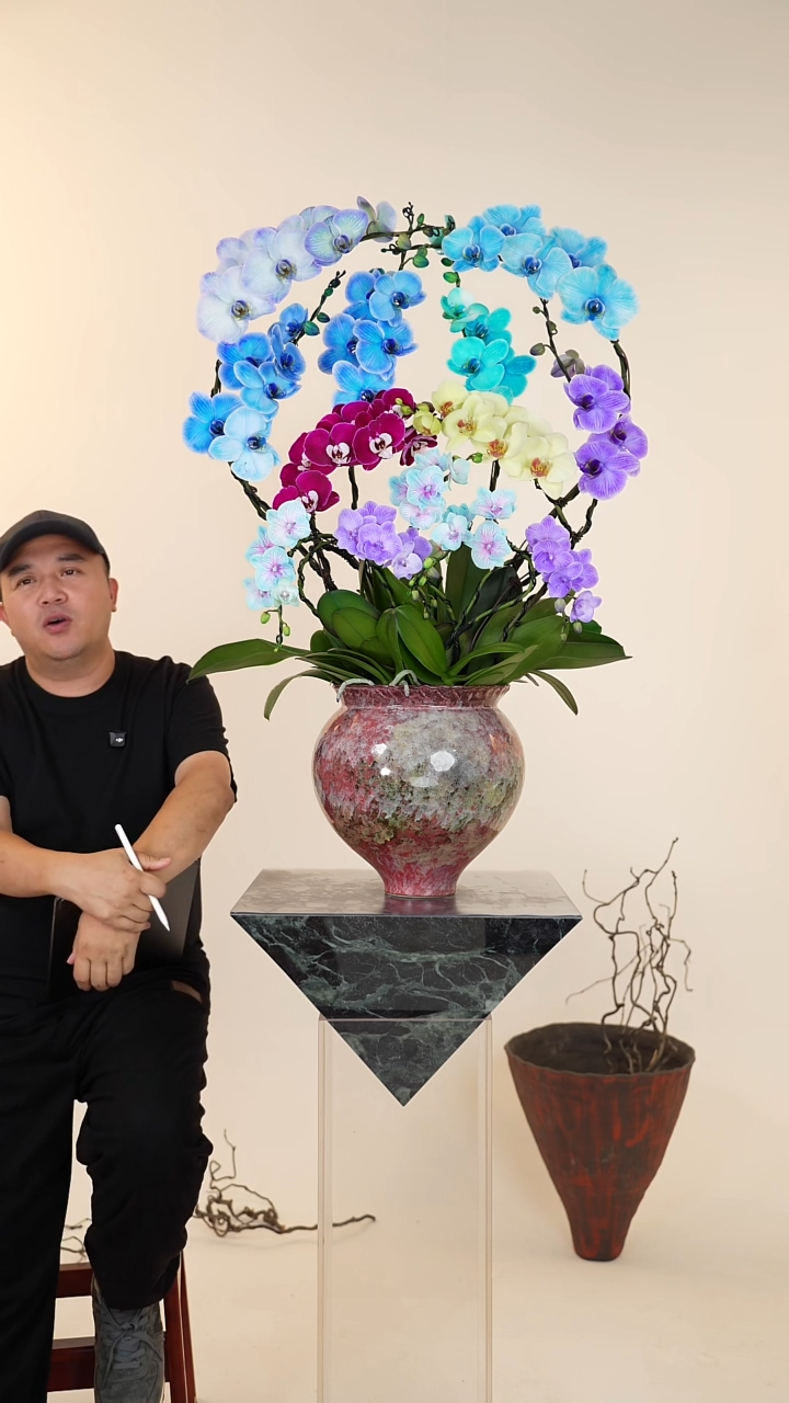全部花朵006号【一物一拍】蝴蝶兰