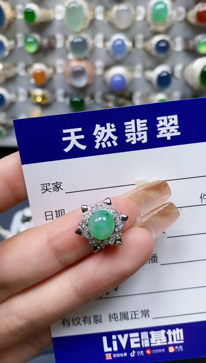 翡翠银S925镶嵌颈饰380