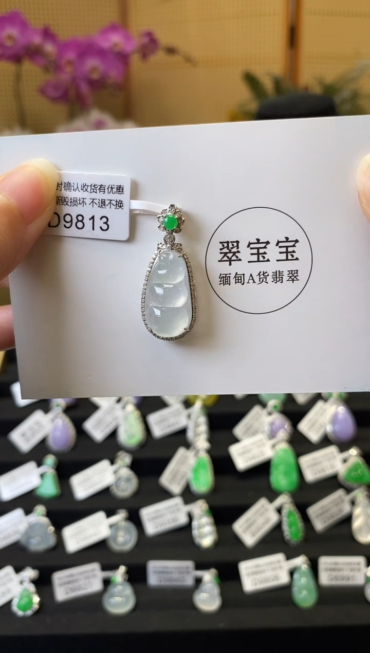 翡翠D9813 福豆 含运营费