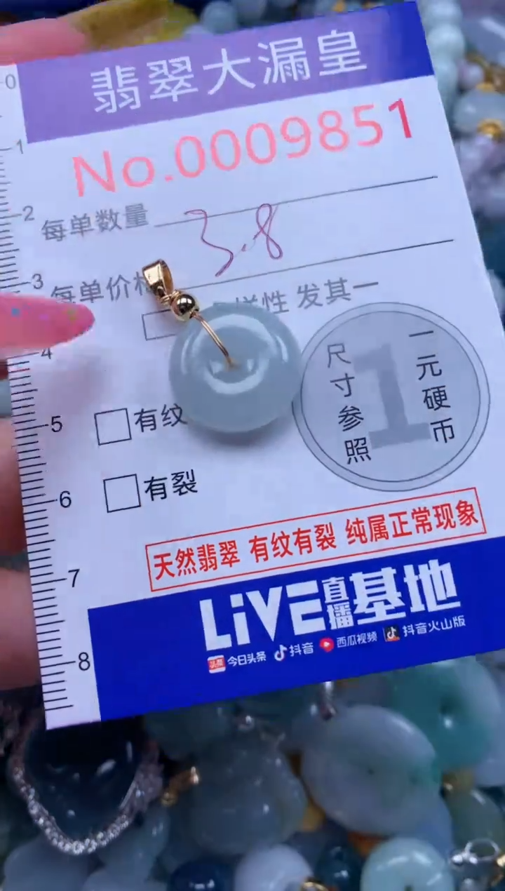 翡翠未镶嵌吊坠(不含链)9851