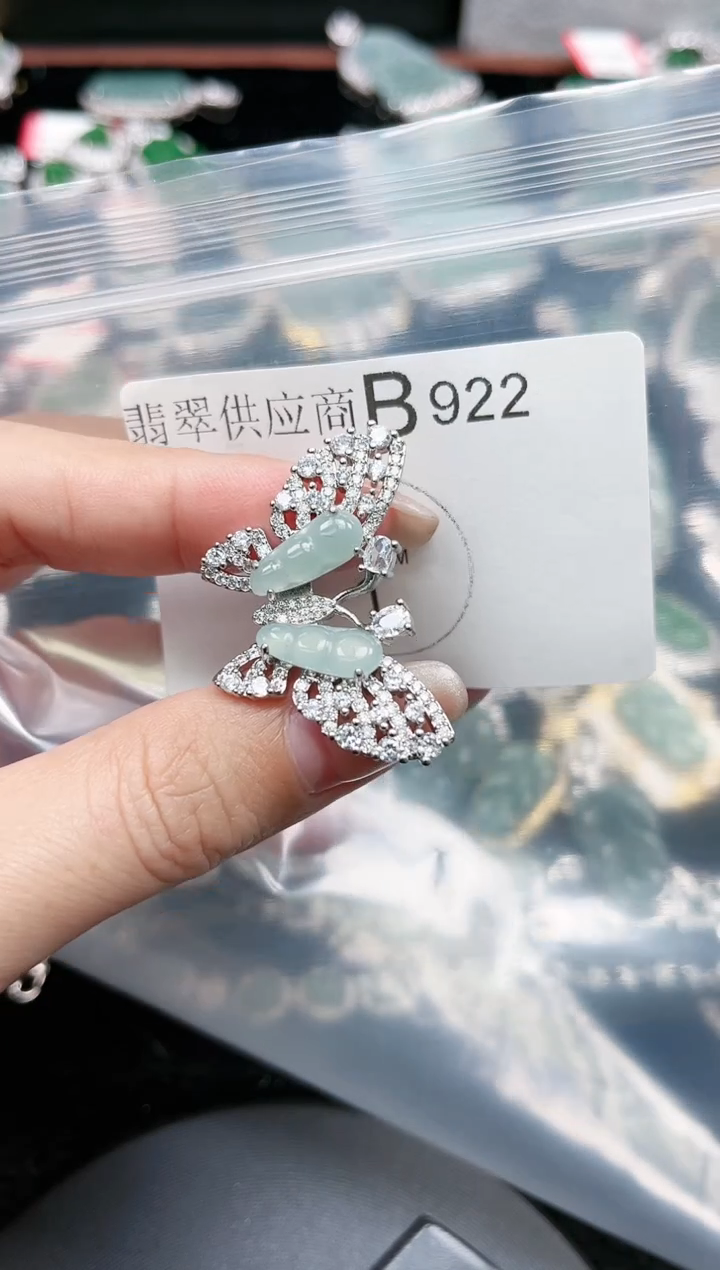 【闪购商品】翡翠颈饰未镶嵌赠皮绳922