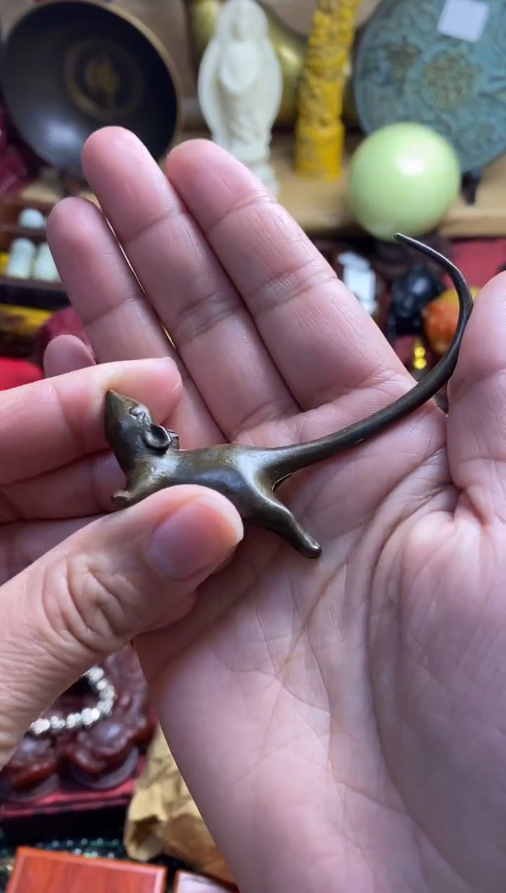 老鼠主播推荐主播推荐