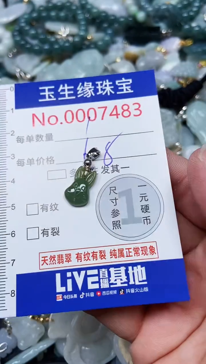 【闪购商品】翡翠颈饰未镶嵌闪购00007483