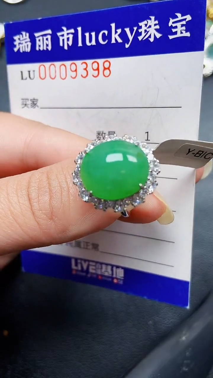 翡翠银S925镶嵌颈饰9398