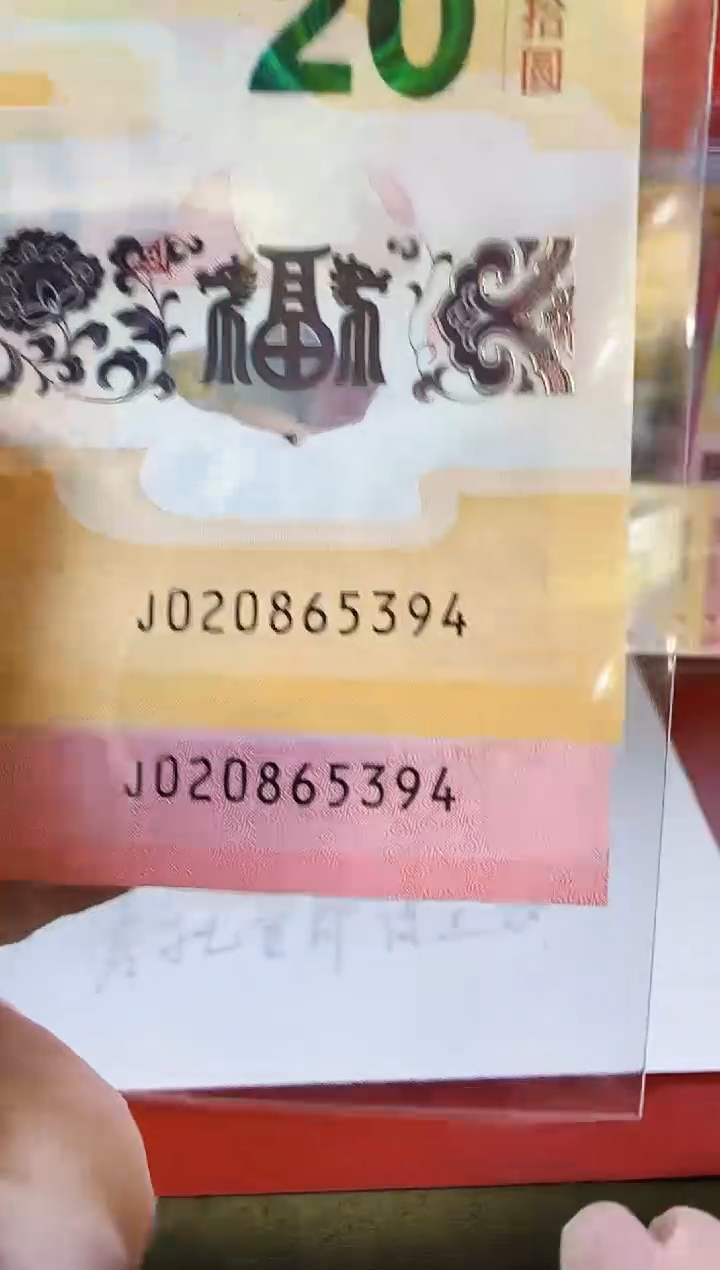 【闪购商品】塑料2025蛇钞全同号啊啊啊啊啊啊啊啊啊啊裸