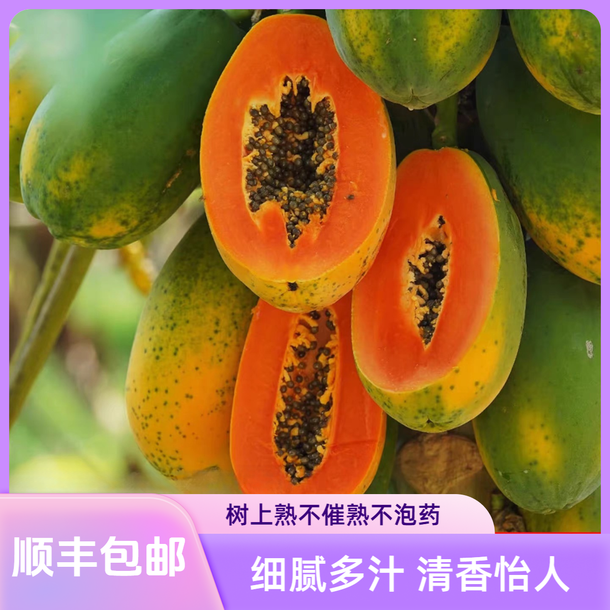 【顺丰包邮】云南真树上熟牛奶大青木瓜5斤8斤装高品质木瓜