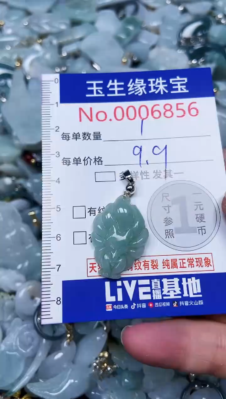 【闪购商品】翡翠颈饰未镶嵌闪购00006856