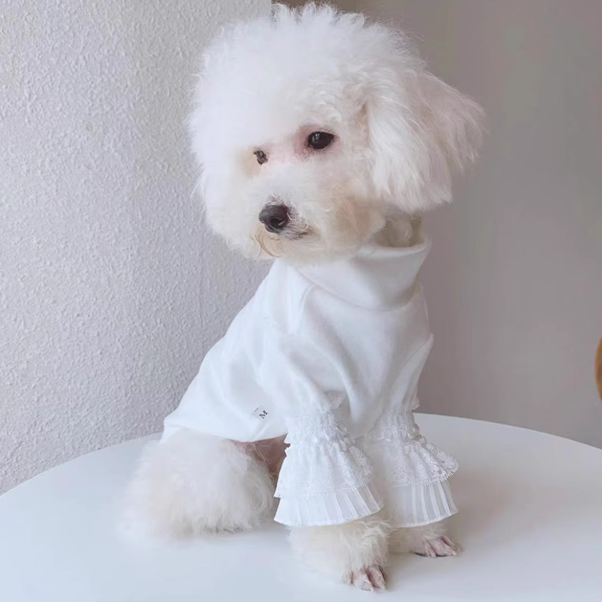 宠物狗狗秋冬款衣服蕾丝长袖白色打底衫猫咪宫廷风泰迪比熊定制
