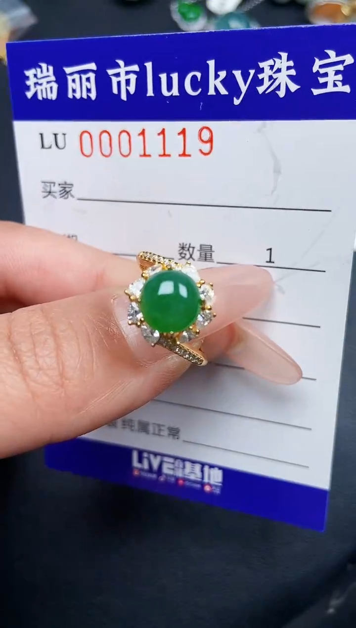 【闪购商品】翡翠颈饰银S925镶嵌1119