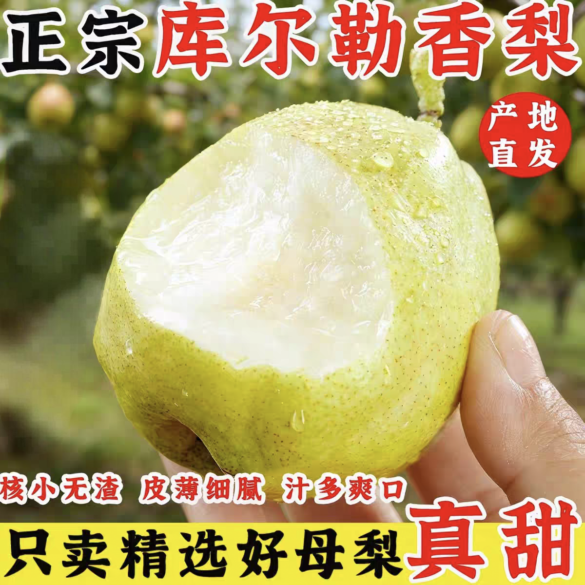 新疆正宗库尔勒香梨脆甜多汁新鲜采摘整箱包邮产地直发梨子田园