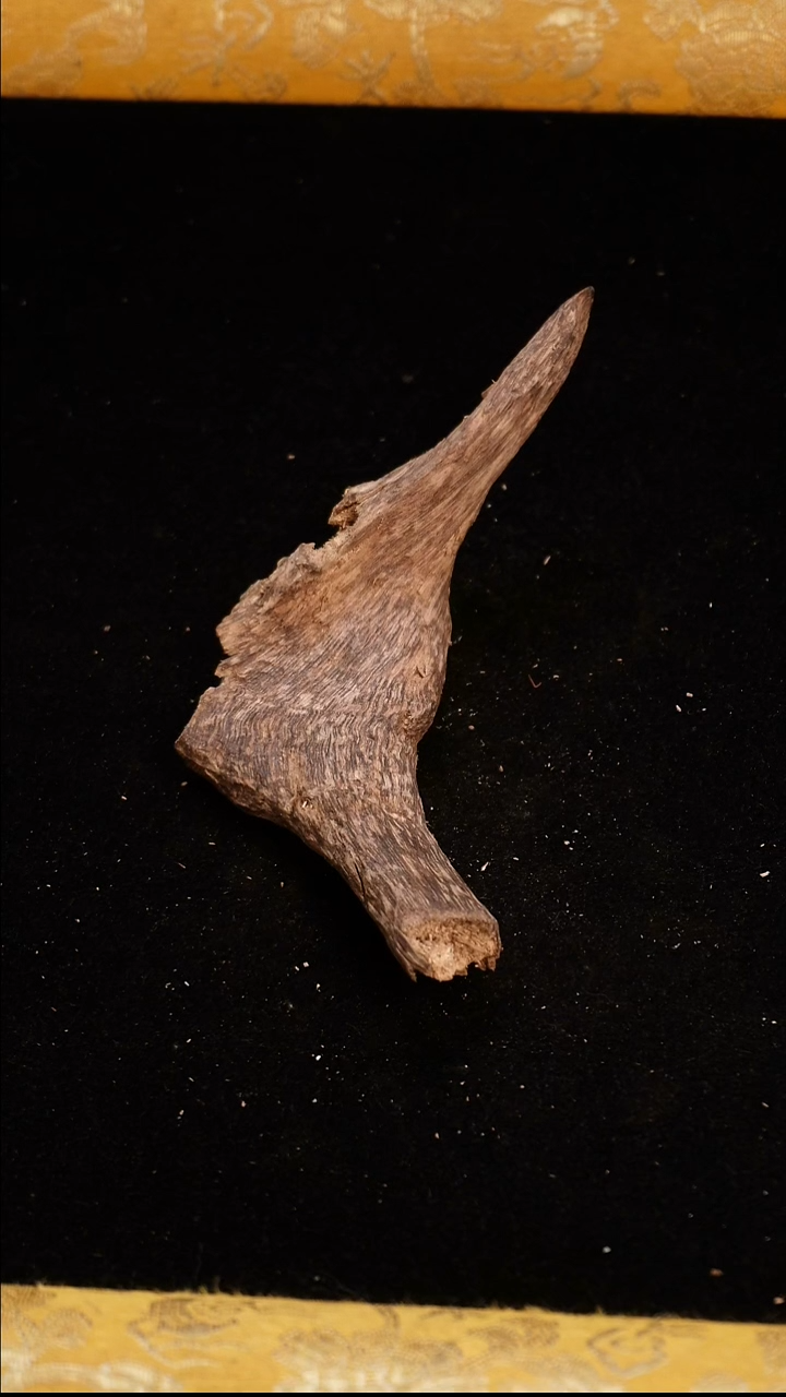 香料越南芽庄10克