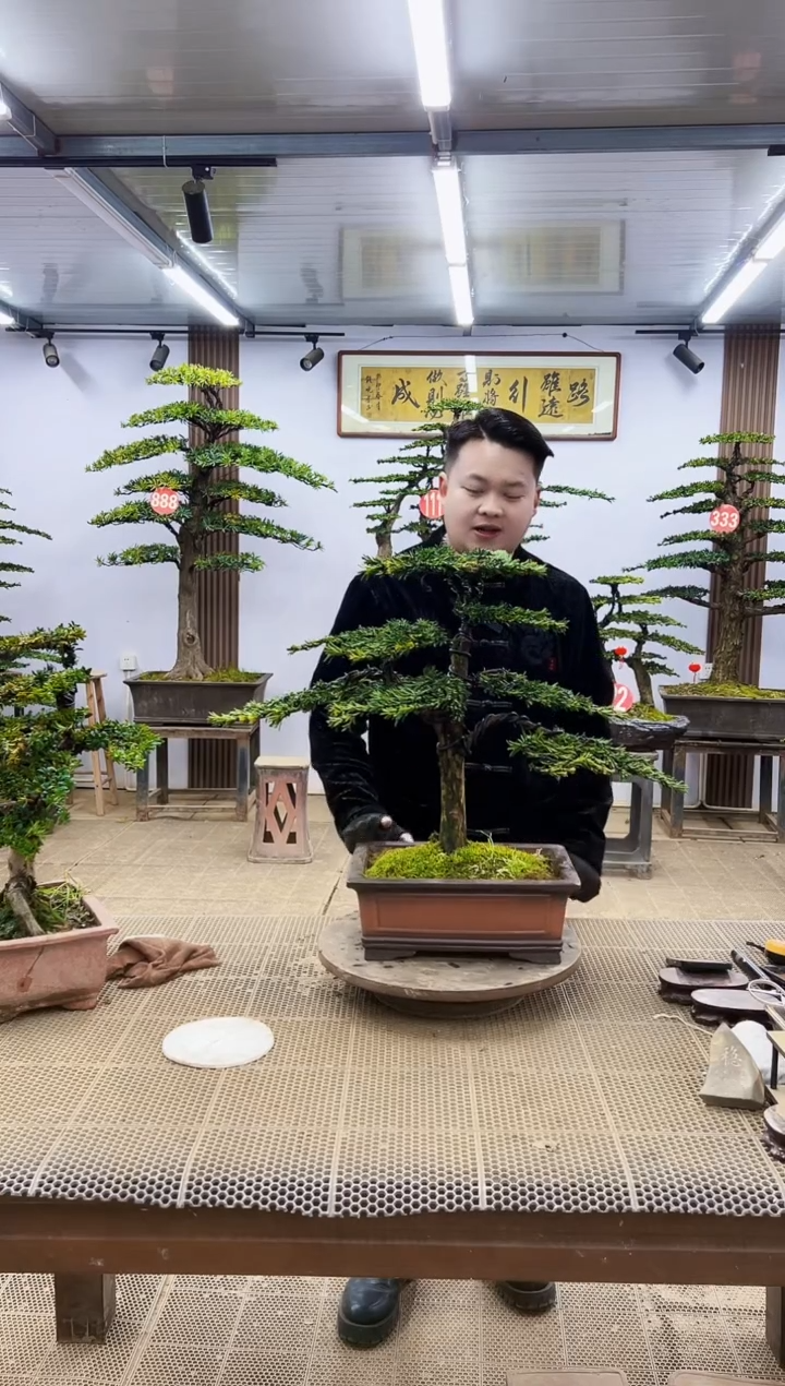 【闪购商品】00000000