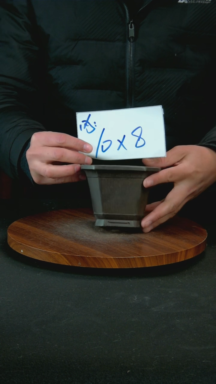 【闪购商品】紫砂G28