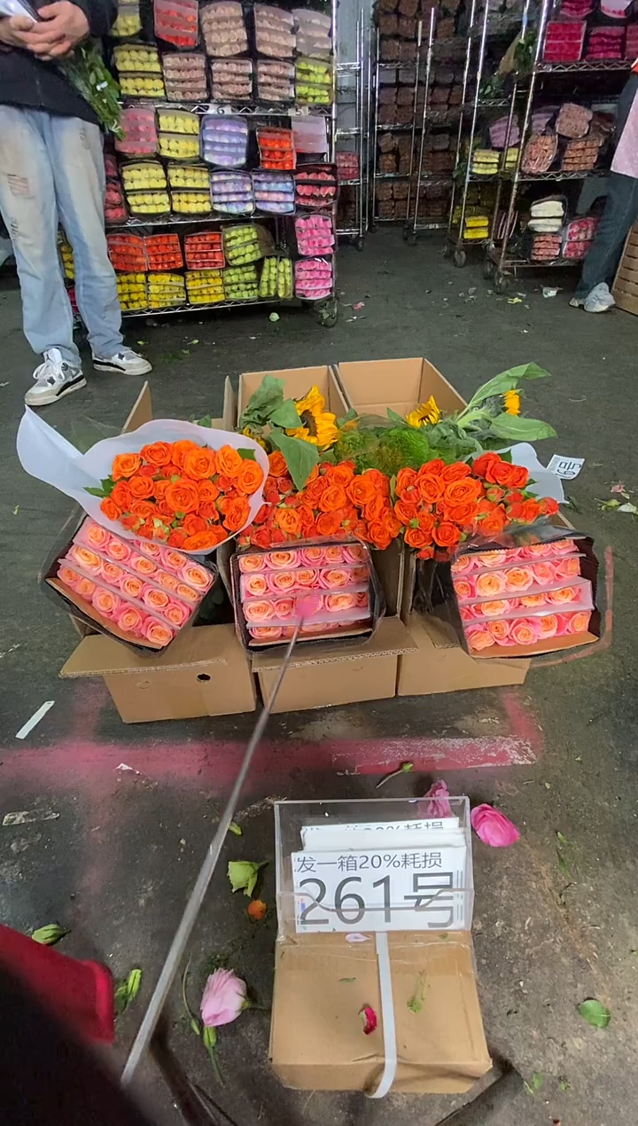 261号♥含20%耗损发一箱