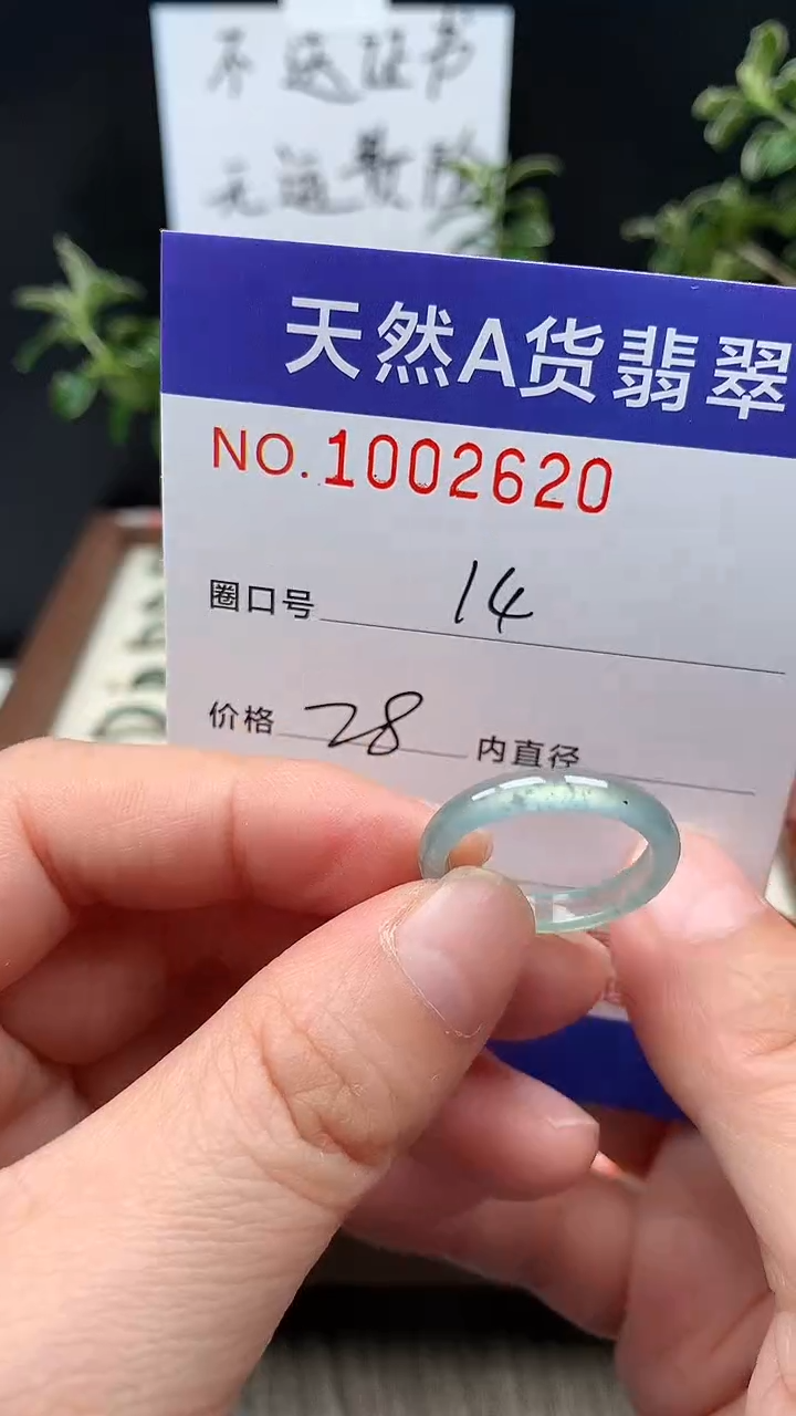未镶嵌戒指翡翠14#