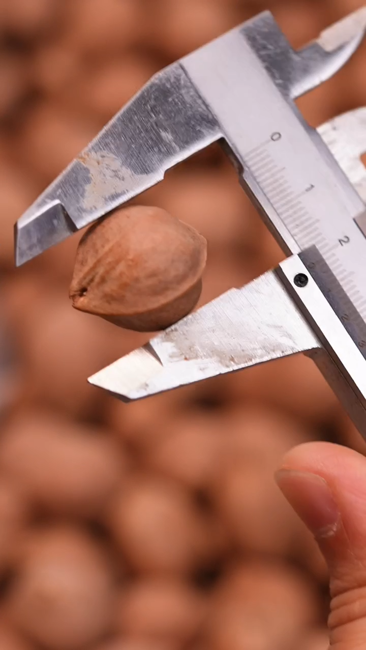 【闪购商品】橄榄核手串/手链铁素3通