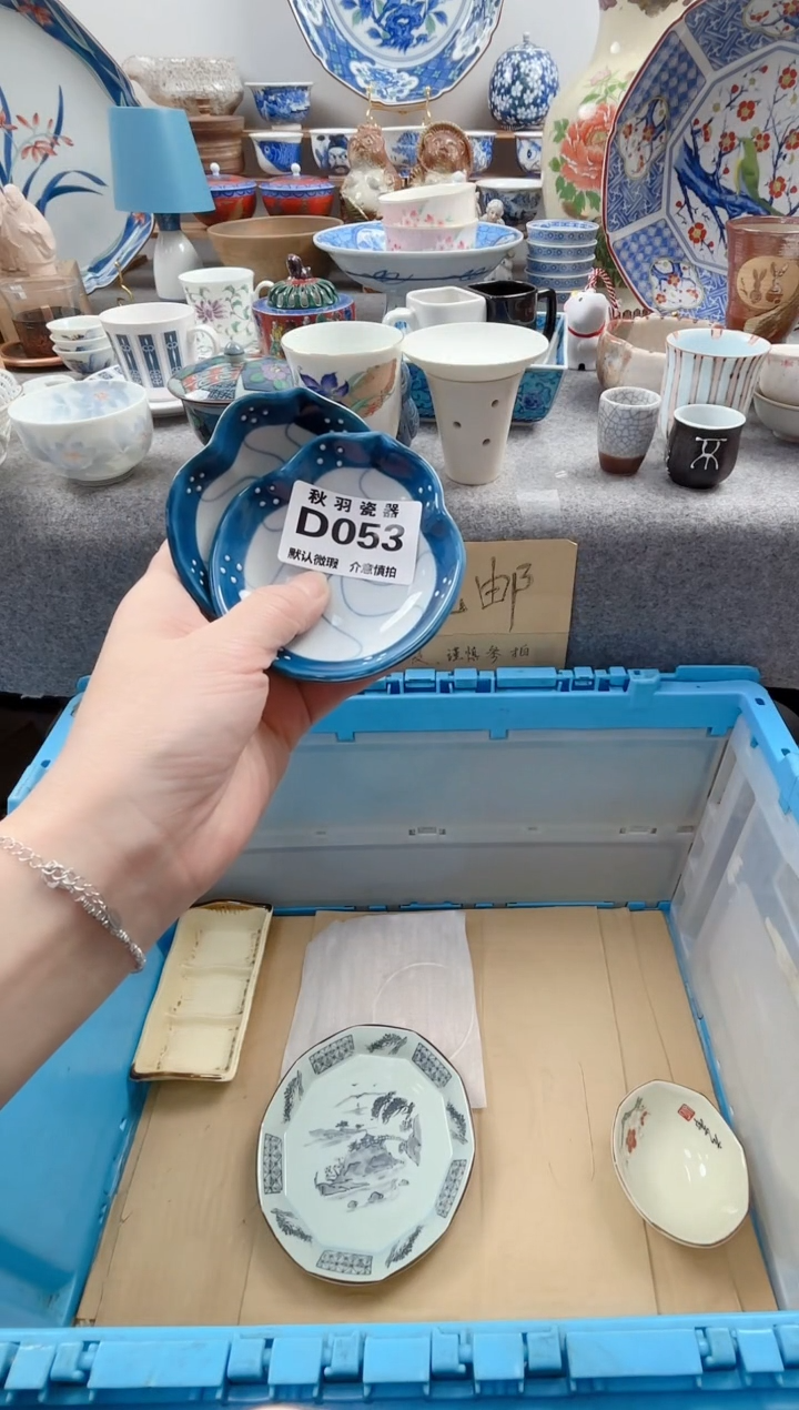 日式淇*默认微瑕秋羽D053
