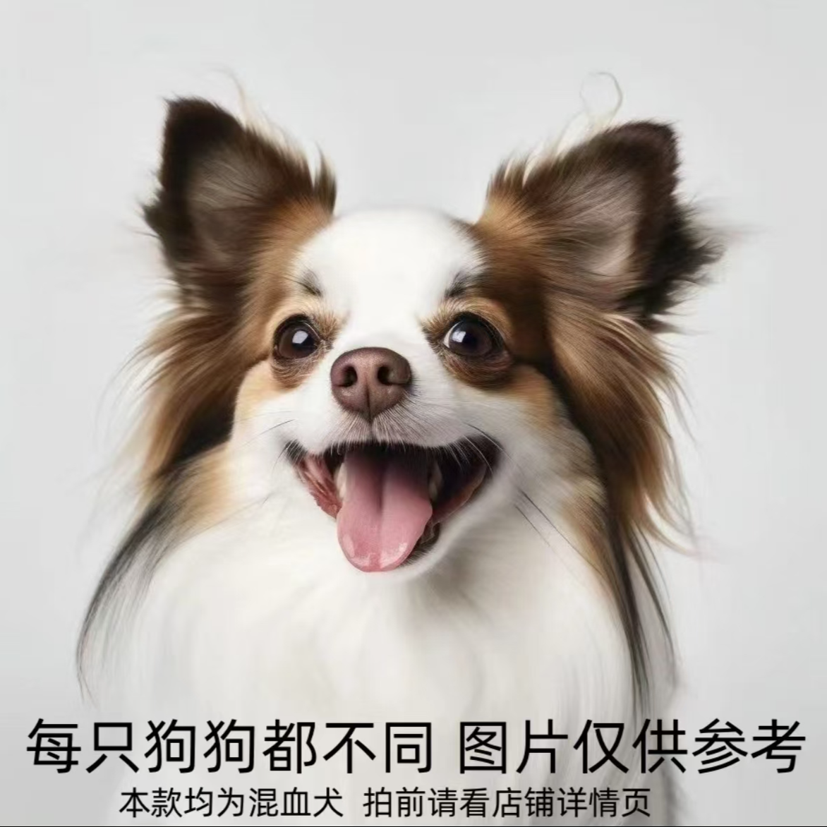 狗狗直播通用活体链接