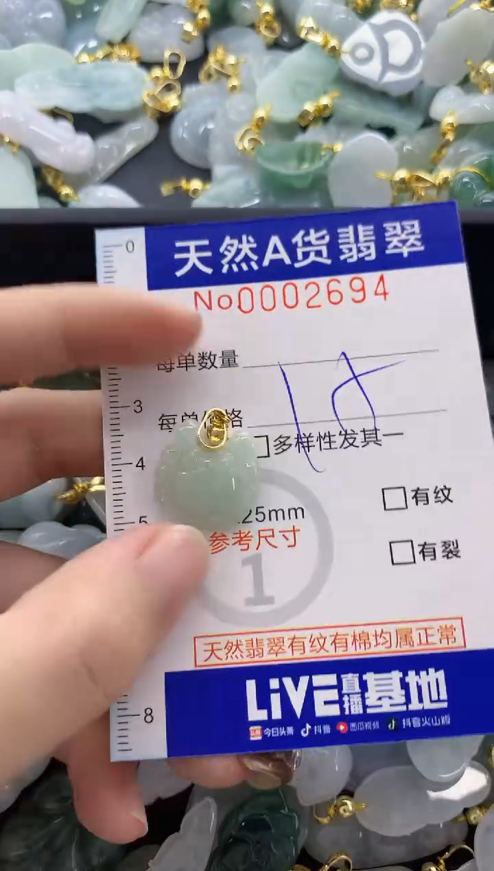 颈饰未镶嵌翡翠天然A货翡翠