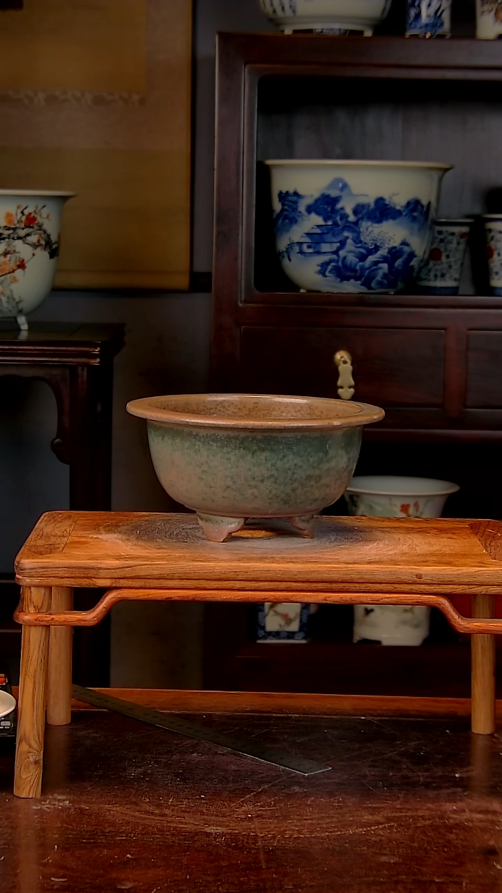 【闪购商品】红陶1